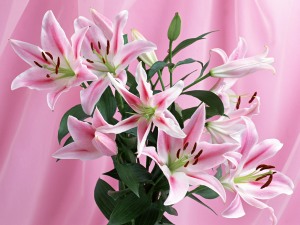 florists online